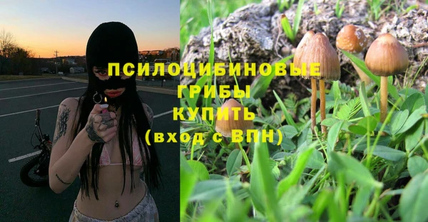 первитин Армянск