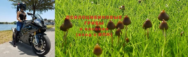 мяу мяу мука Аркадак