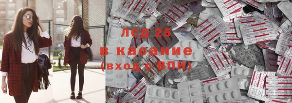 стафф Арсеньев