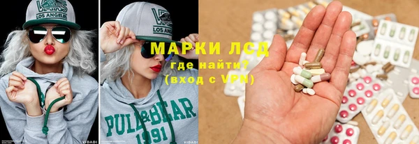 мяу мяу мука Аркадак